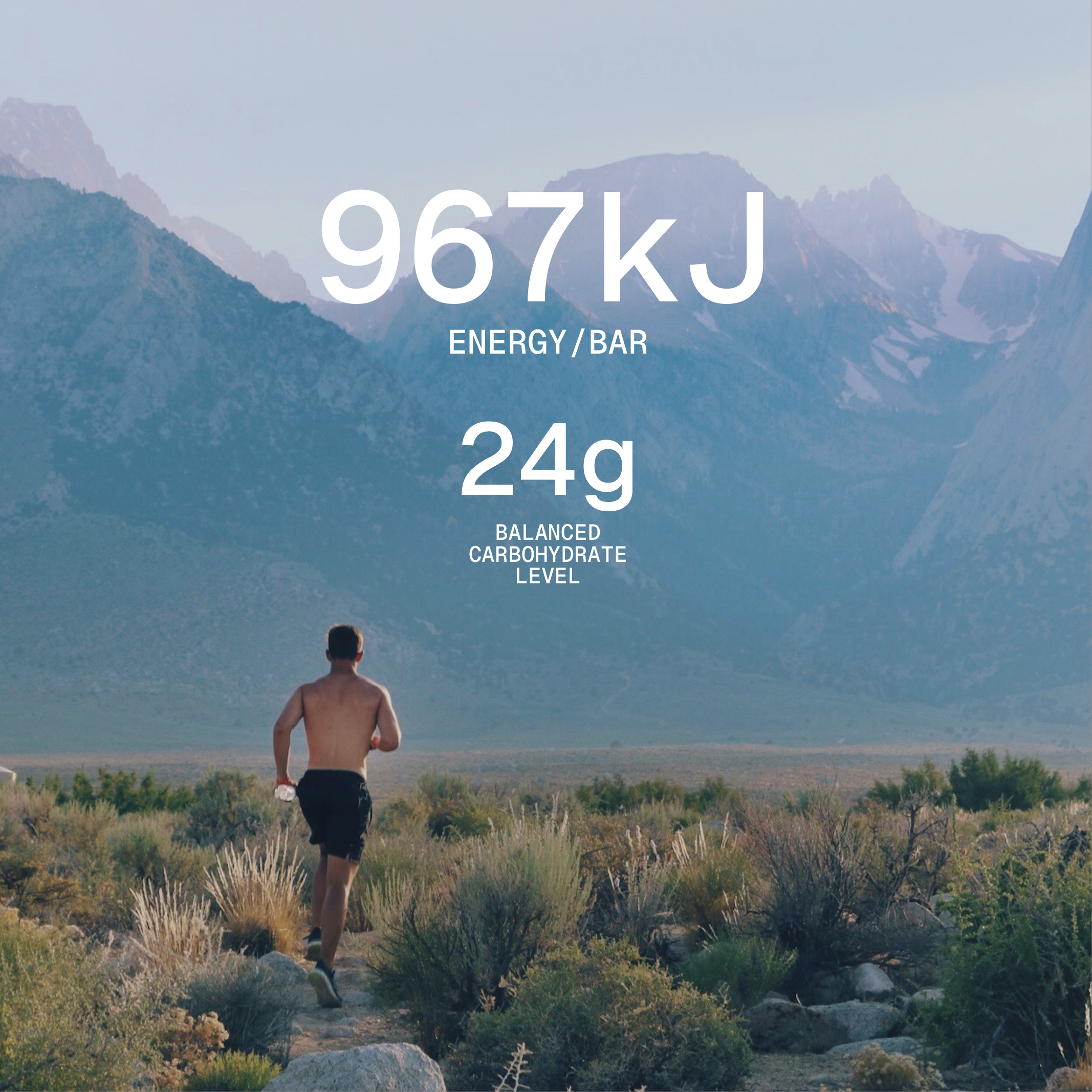 Cookies & Cream Protein + Fibre Oat Bar (15 x 62g)